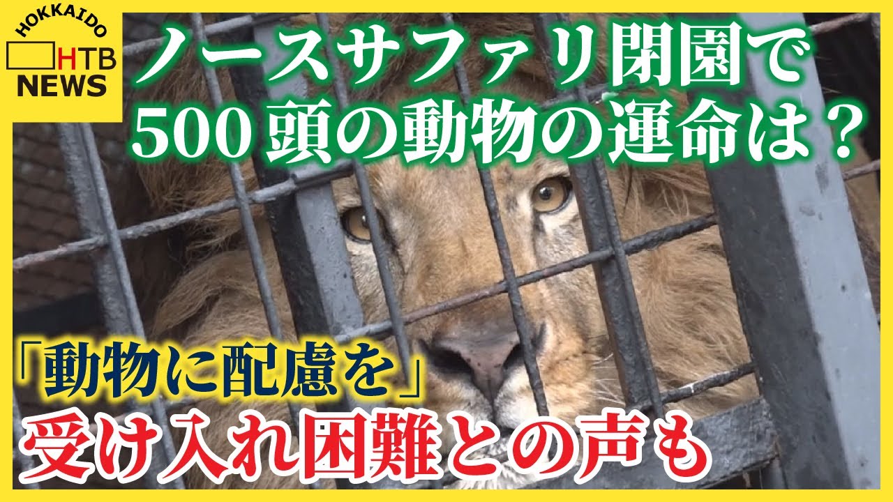 ノースサファリ閉園で500頭の動物の運命は？「動物に配慮を」札幌市が要請へ　受け入れ困難との声も