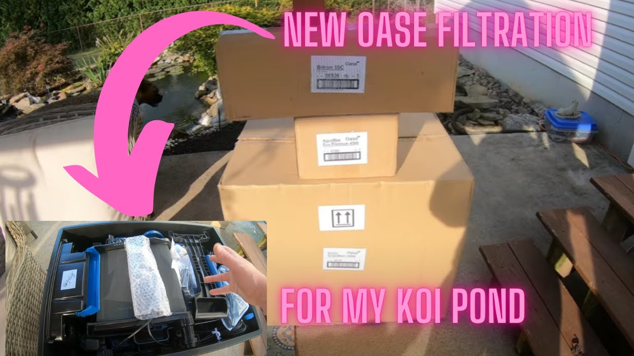 Первоначальное подключение Oase Biotec Screenmatic 24000 в моем пруду с кои