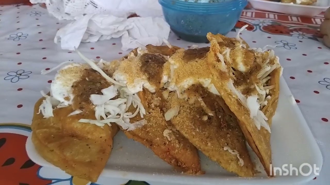 11 marzo 2026/ Ricos toqueres  😋 / la chuchería  ya tubo  sus cachorros/ platicando con mi tia/