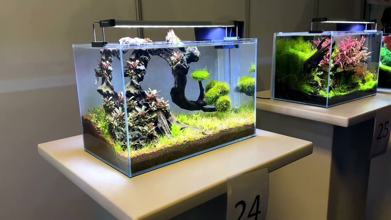 30 MINDBLOWING Aquascaping Ideas 💡 #aquascape