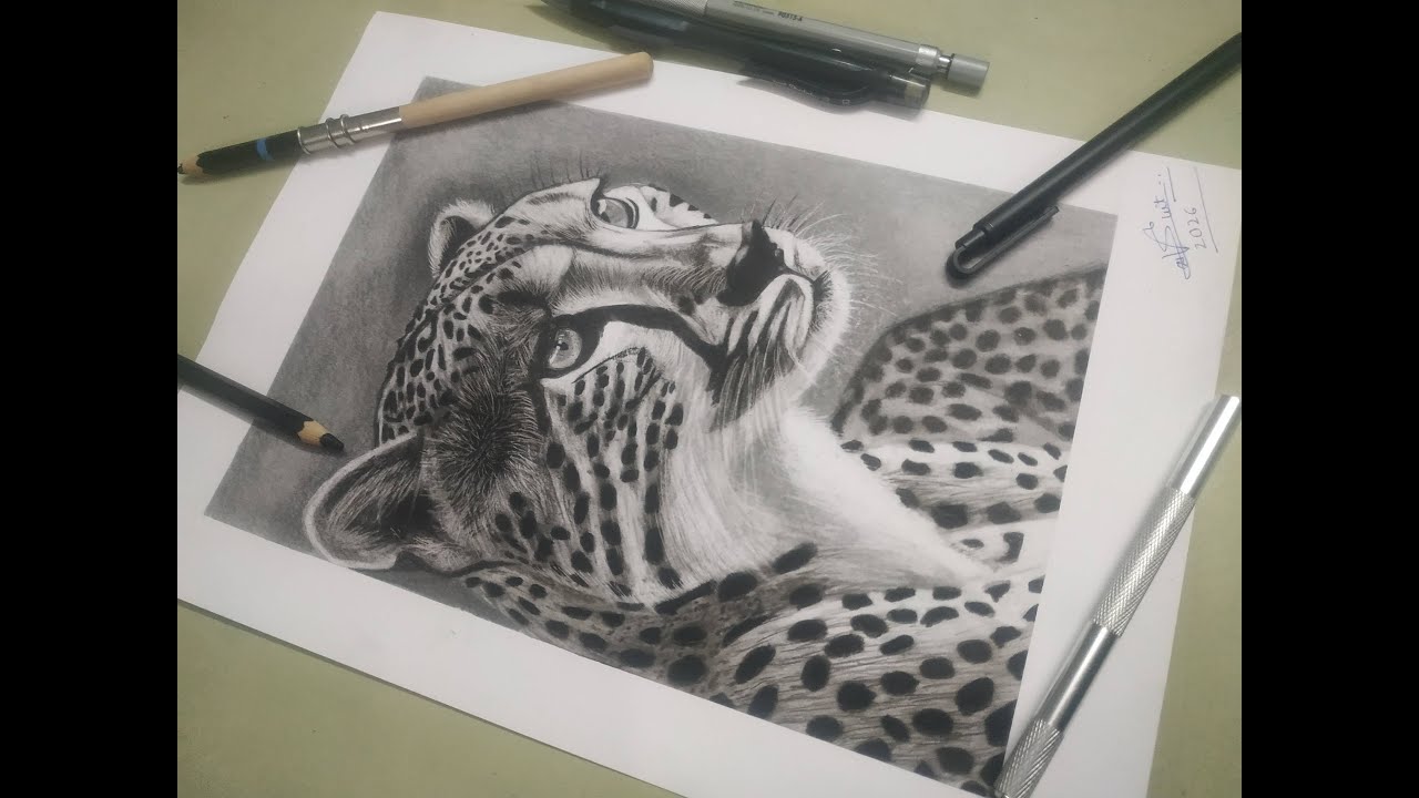 How To Draw A Cheetah