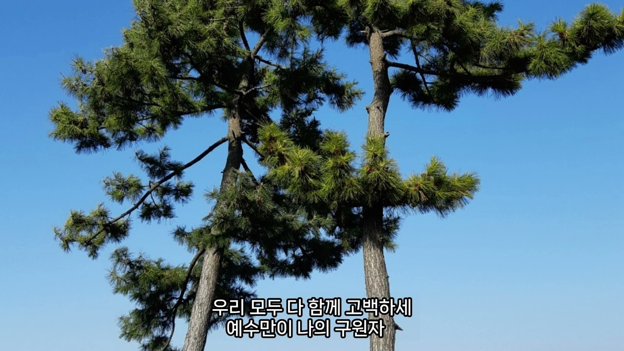 100YP Song of Songs 100년도 한 점