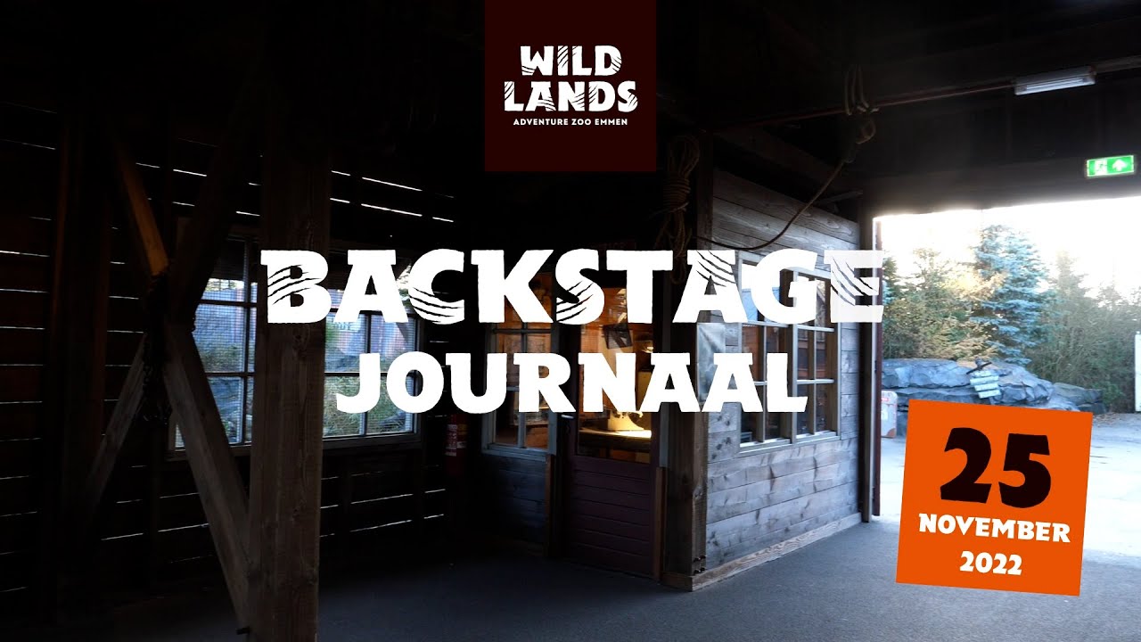 WILDLANDS Backstage Journaal 25 november 2022