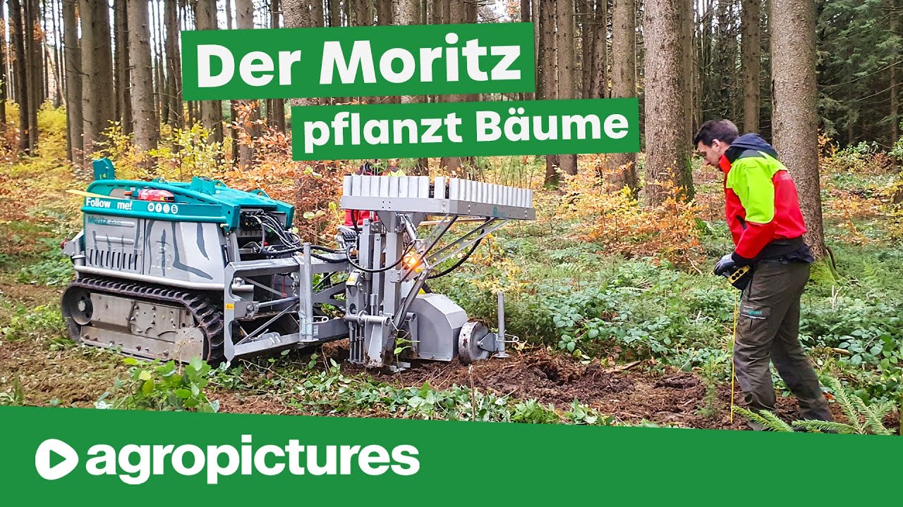 Bäume pflanzen mit der Forstraupe Moritz und dem Pfanzelt Plantomat | Pflanzmaschine zum Aufforsten