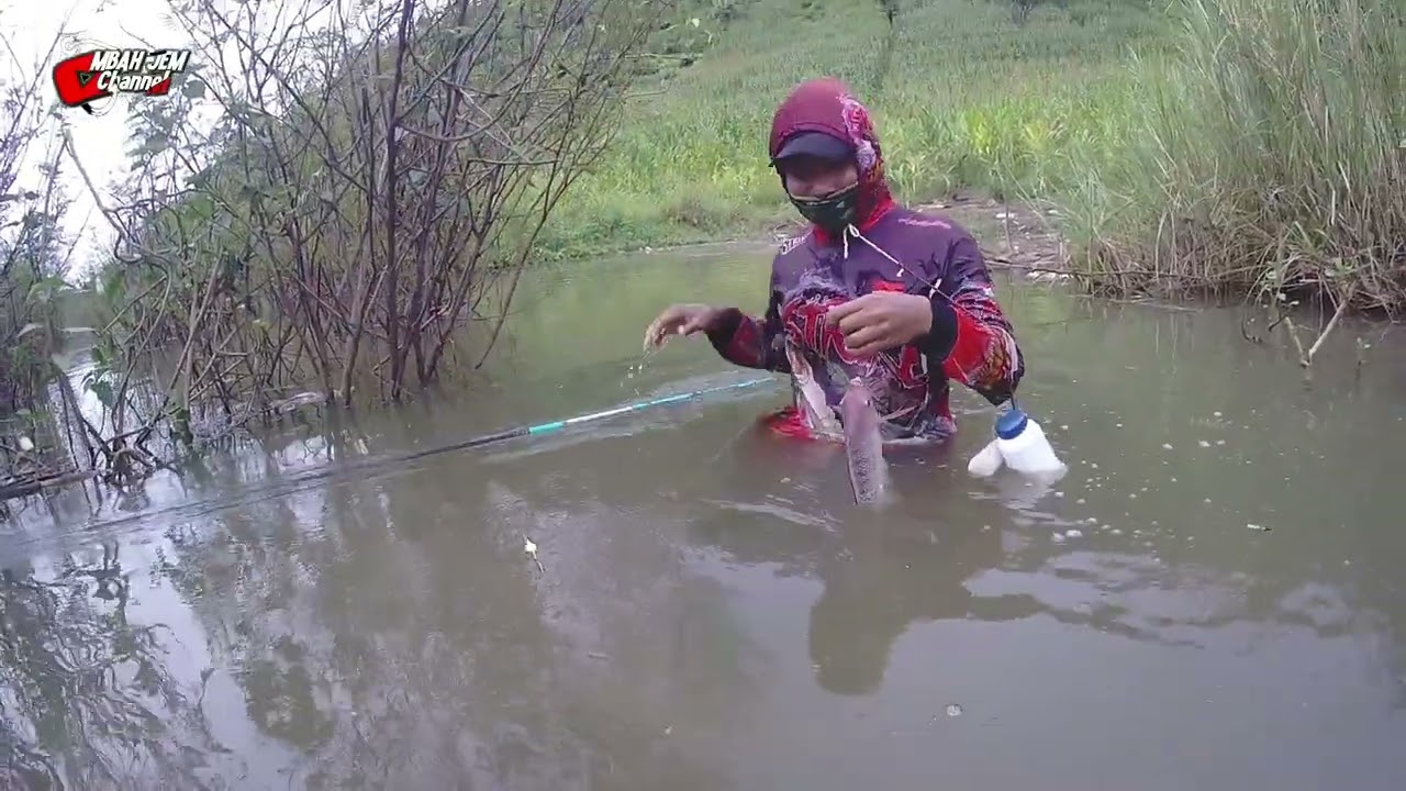 Spot Berduri Jadi Favorit Ikan 🇮 Waduk Bendo Terbaru 2025