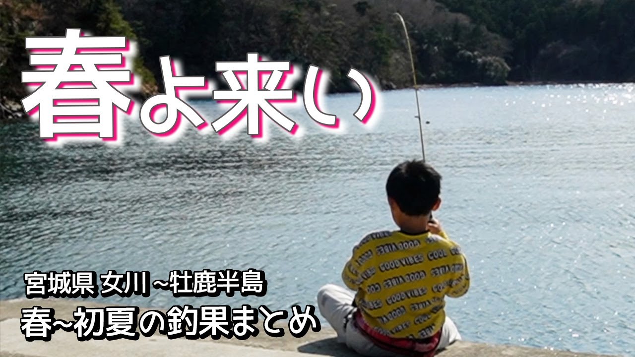 【春の釣りまとめ】イカ釣りの季節が待ち遠しいなぁ【宮城県 女川〜牡鹿半島】
