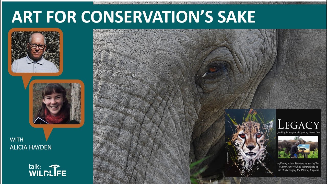 Art for conservation's sake