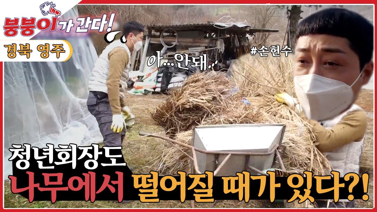 [붕붕이가 간다!] 기적을 만드는 붕붕이 [6시 내고향] | KBS 211220 방송