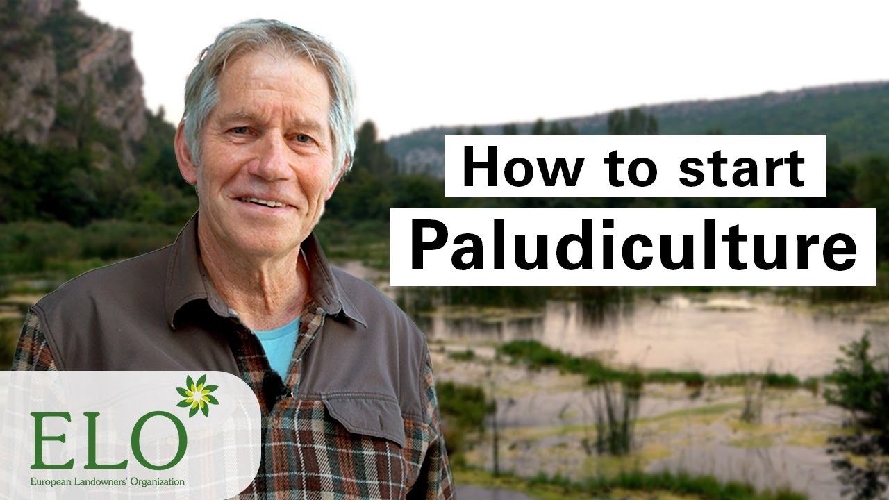 Paludiculture: A Practical Guide for Landowners | #PeatlandsMatter