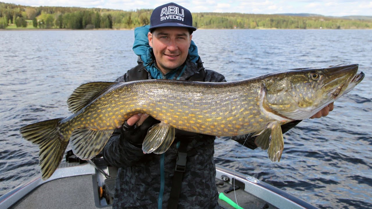 Instant Spinnerbait- Färg & Modell