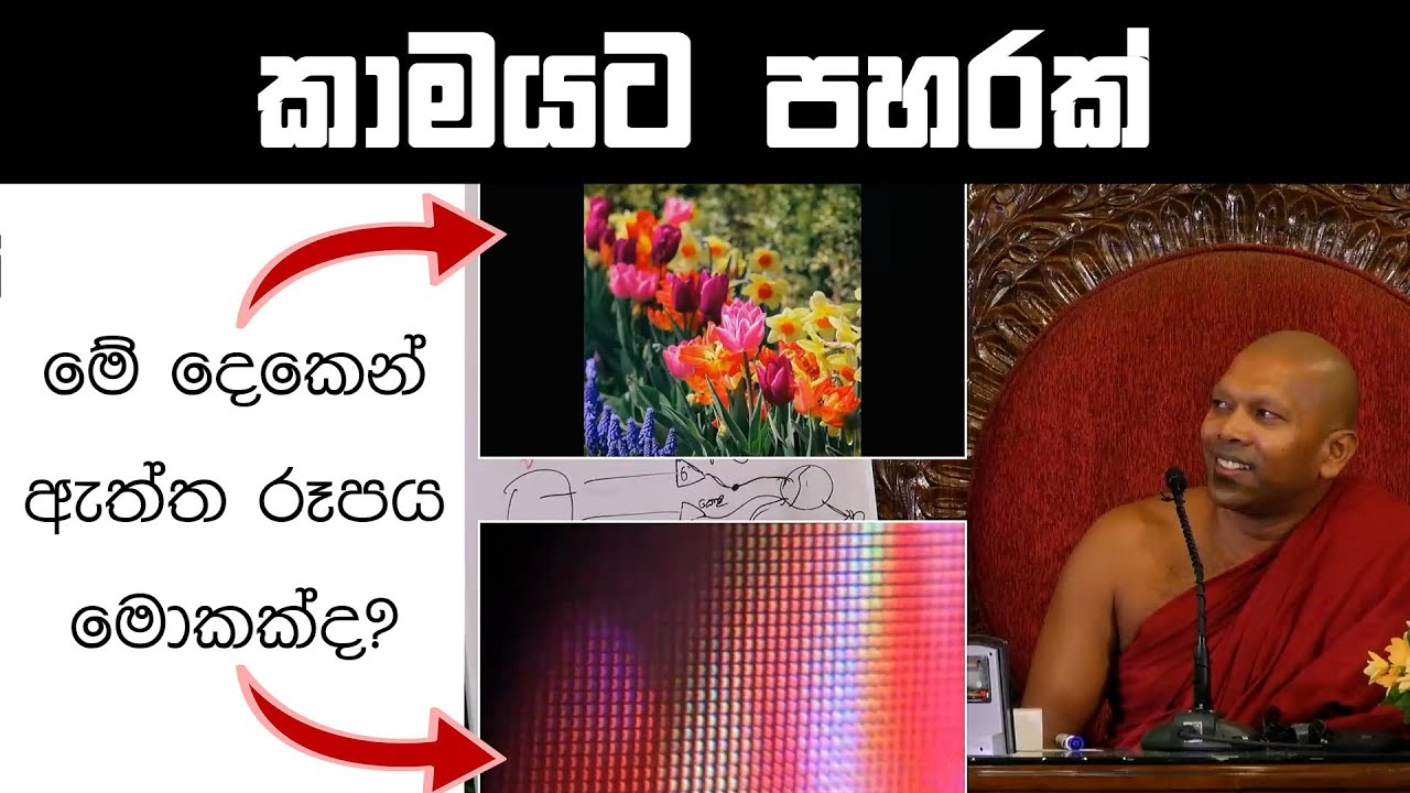 කාමයට පහරක් | Ven. Handapangoda Nivathapa Himi
