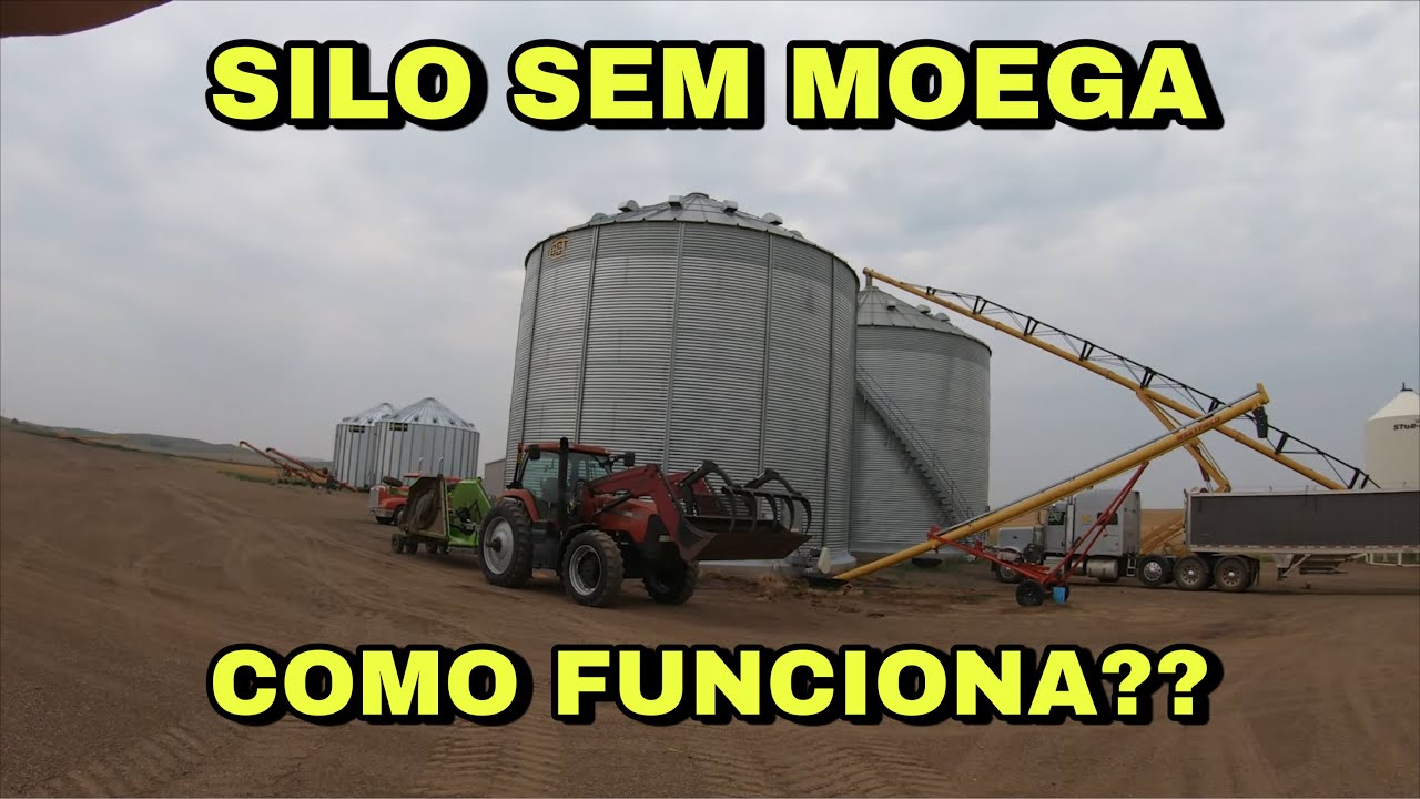 SILO SEM MOEGA?? COMO FUNCIONA ESSE SISTEMA DE ARMAZENAGEM DE GRÃOS EP-86