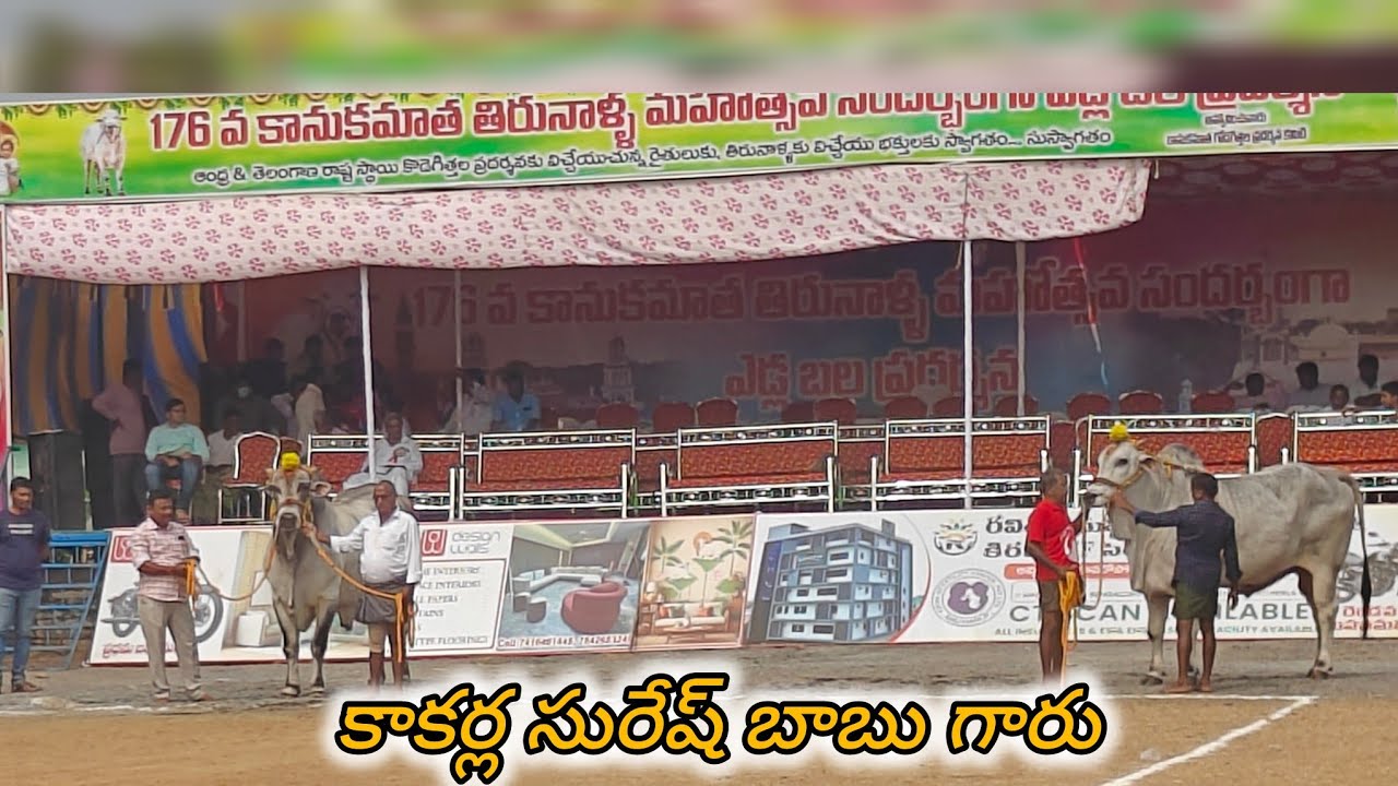 రెంటచింతల జూనియర్స్ విభాగం 6వ.కాకర్ల సురేష్ బాబు గారు క్రోసూరు కృష్ణా  జిల్లా