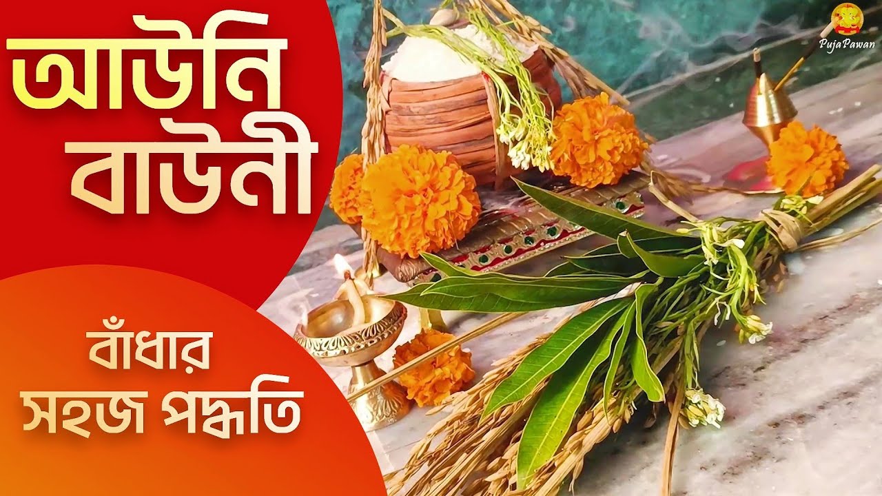 পৌষ সংক্রান্তি ধান বাঁধার পদ্ধতি | Poush Sankranti dhan bandha utsav | Auni bauni বাধা | বাউনি বাঁধা