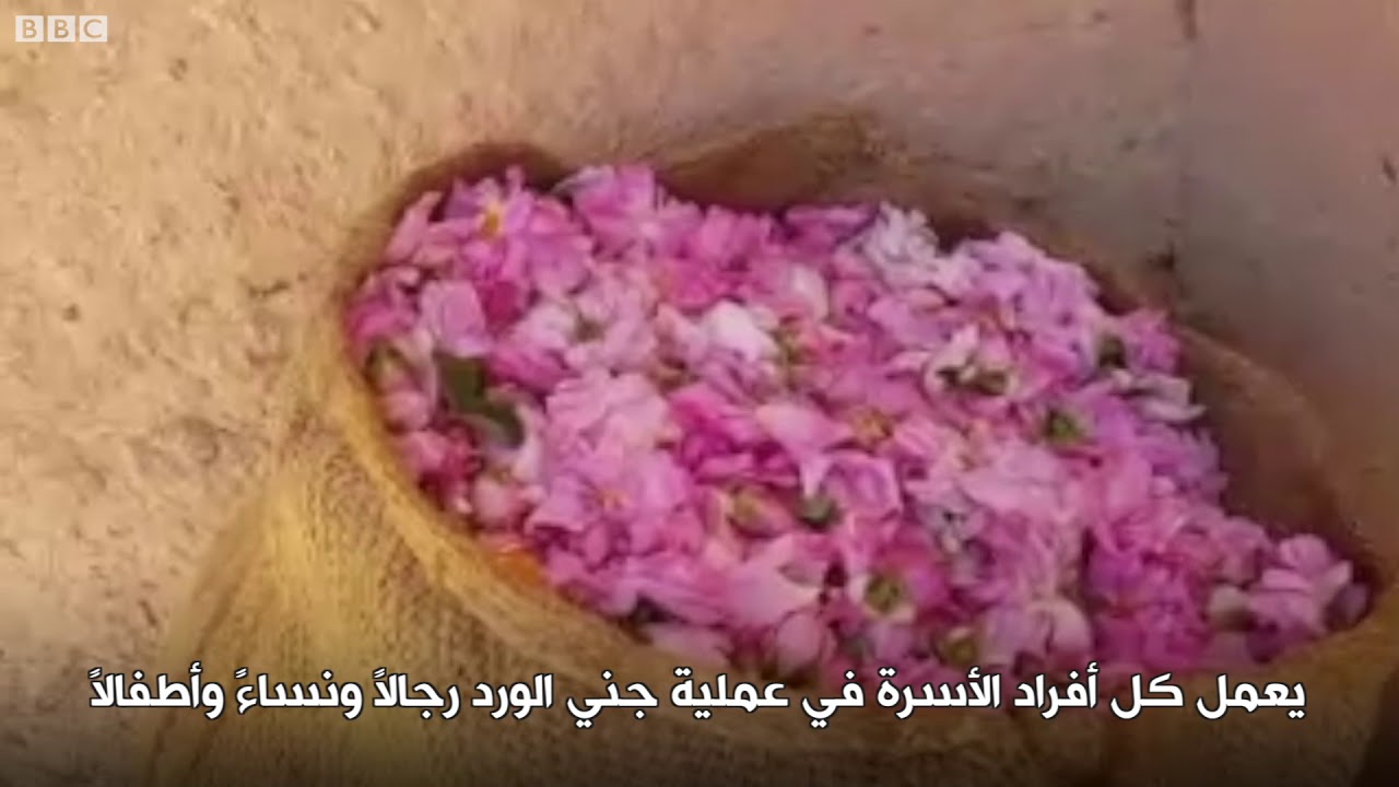 أنا الشاهد: مهرجان الورود في المغرب
