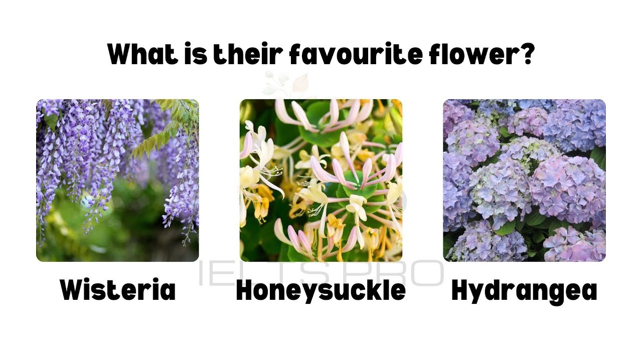 IELTS Life Skills Exam A1 Listening | Test 687 #ieltslifeskills #ieltslifeskillsa1 #listeningtest