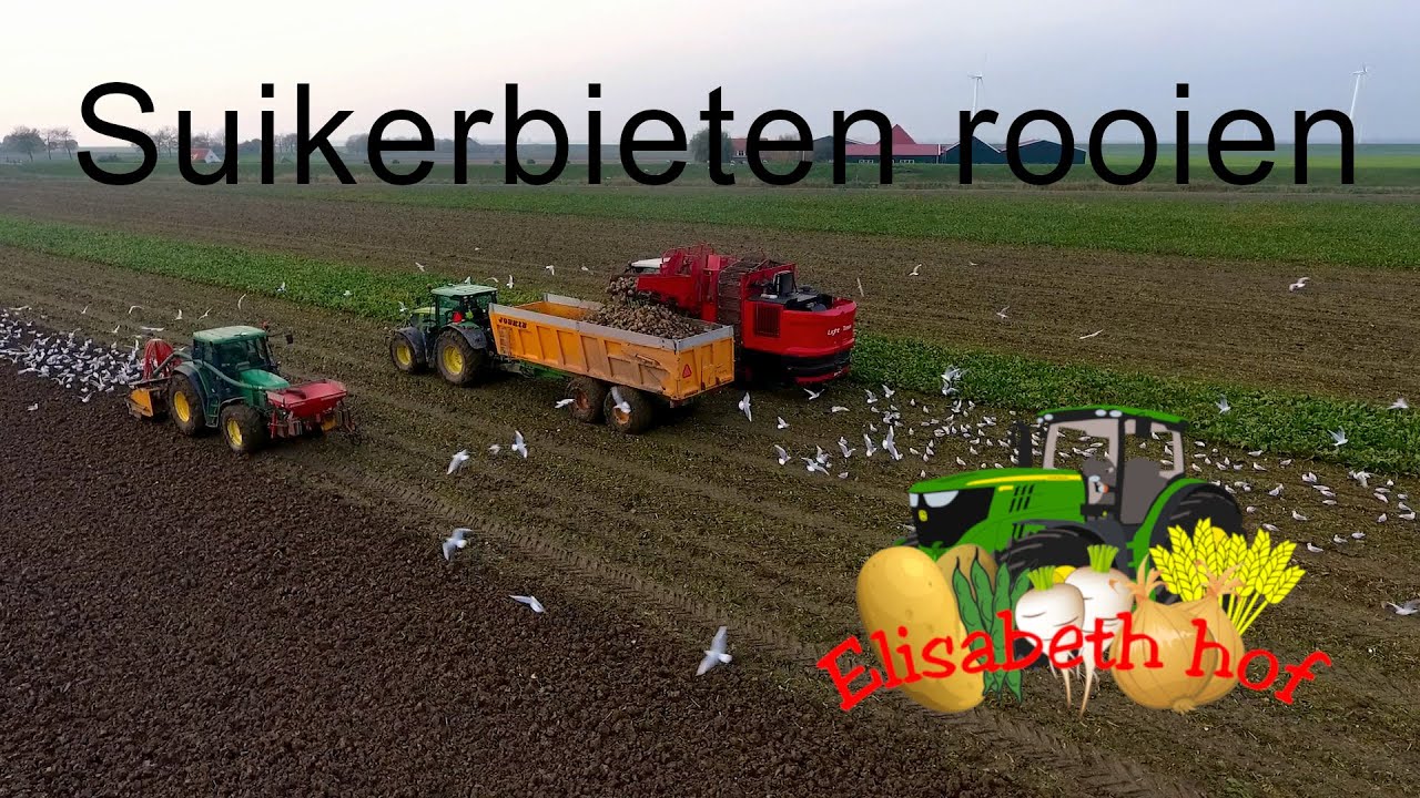 Suikerbieten rooien | John Deere + Agrifac | Loonbedrijf Testers | Elisabeth hof Dinteloord