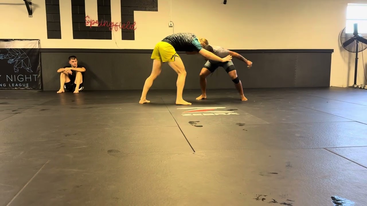 Two apes on takedown only