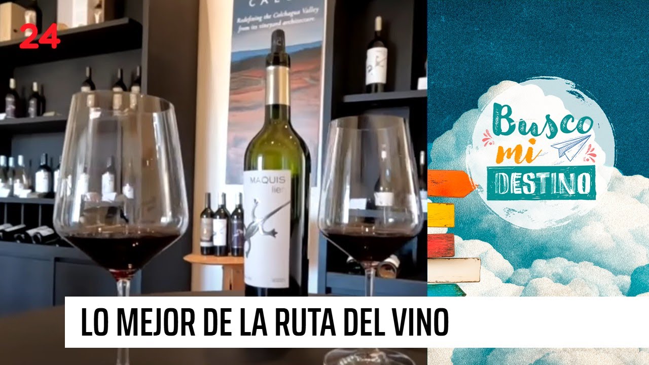 Busco mi destino: Gastronomía, aventura y descanso en el Valle de Colchagua