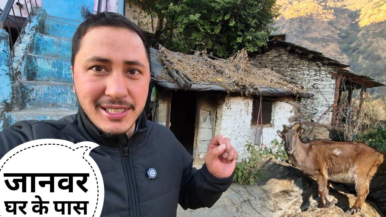 जंगली जानवर ठंड के दिनों में घर के पास आ जाते हैं || Pahadi Lifestyle Vlog || Cool Pahadi