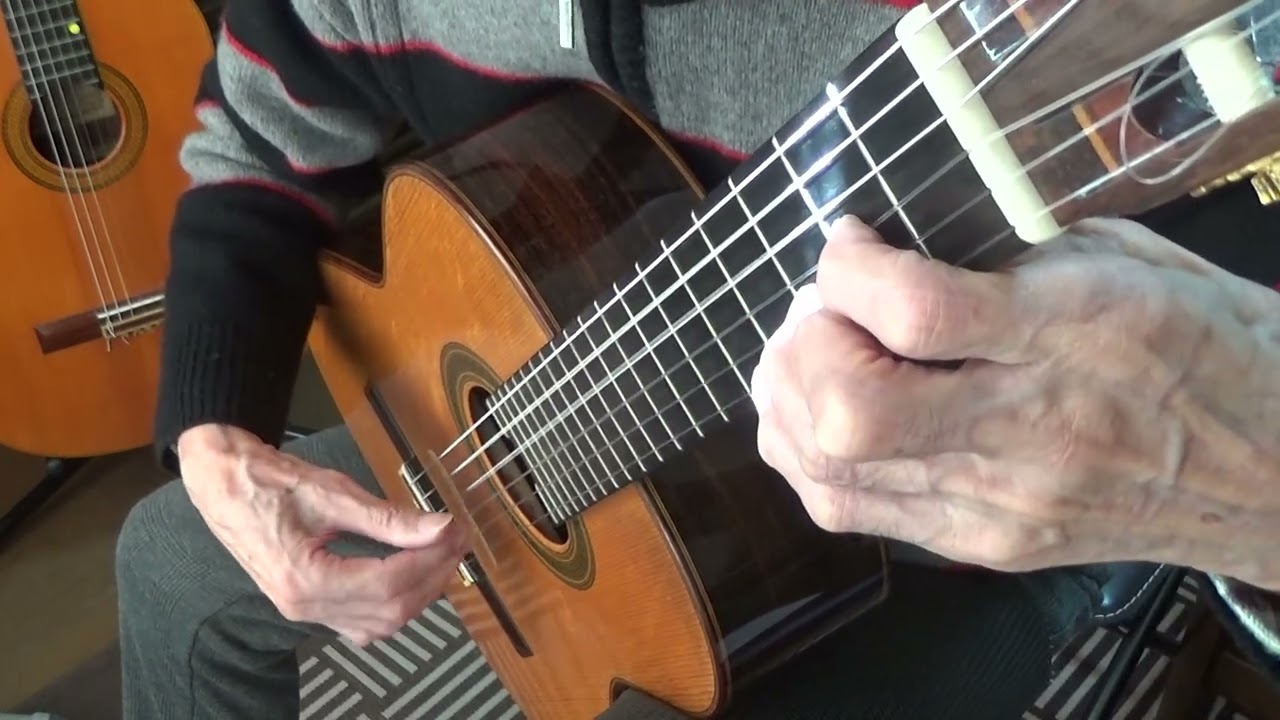 J.K.Mertz "Schule für die Gitarre" ギターの為の学校 (15の練習曲) No 6~10 ヨハン・カスパー・メルツ