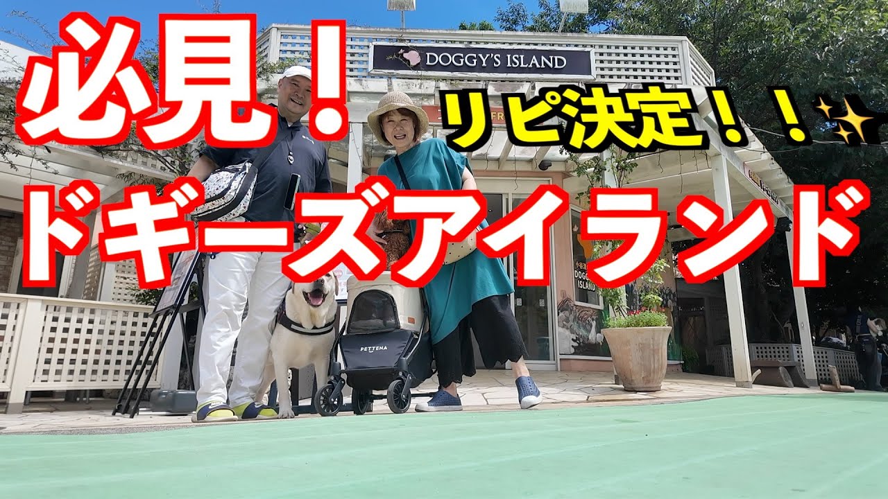 【犬の楽園】ドギーズアイランドが最高過ぎた！犬好きさん必見！！愛犬が大興奮、こんなに喜んでくれるならリビ決定♡ ドッグラン、ご飯、部屋何もかも最高でした。VOL100