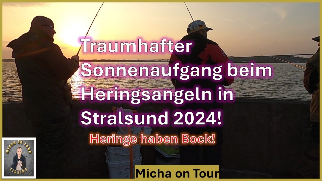 Heringsangeln in Stralsund Frühjahr 2024 // Fischen an der Ostsee //