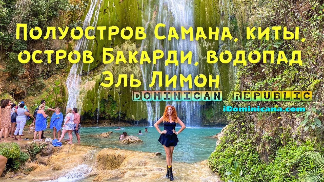 Доминикана: полуостров Самана, киты, о. Бакарди, водопад Эль Лимон - iDominicana.com