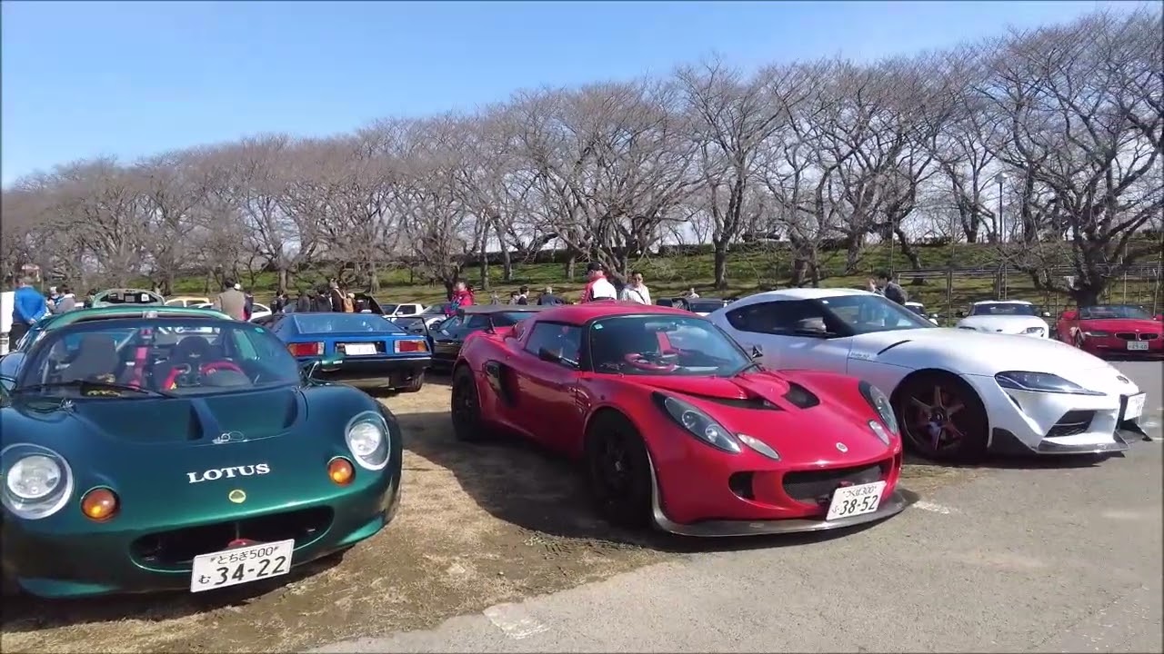 さくらモーニングクルーズ Vol 151