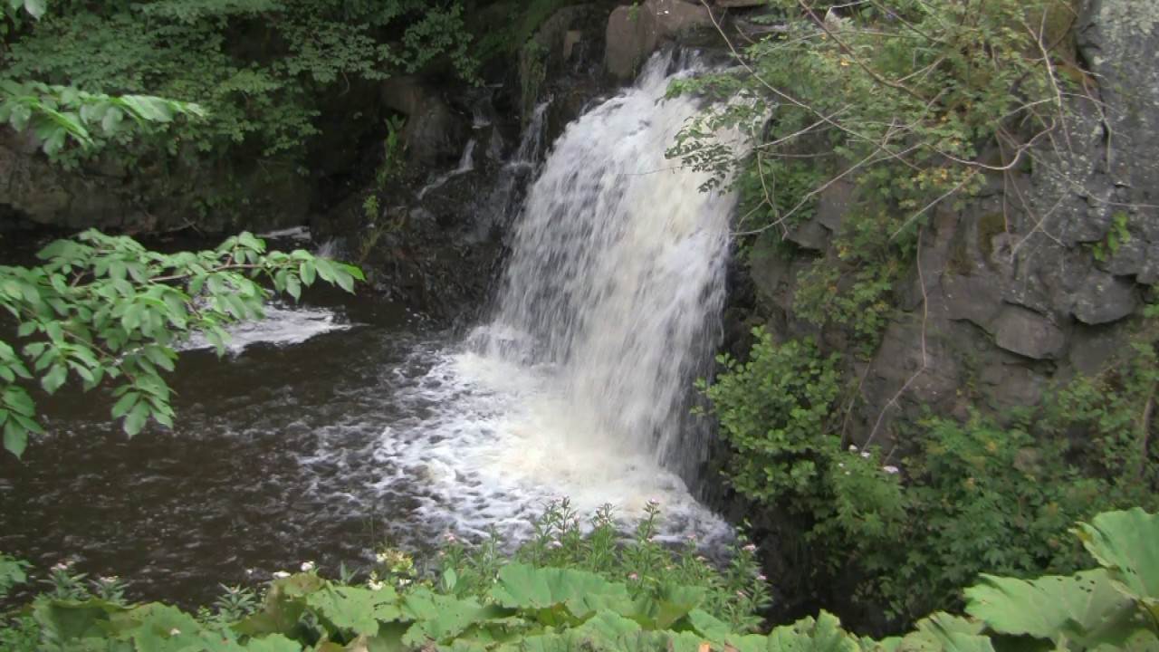 En vandring i Verkeåns naturreservat, Österlen, Skåne