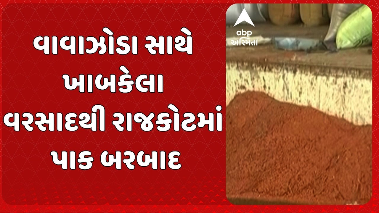 Rajkot Unseasonal Rain | વાવાઝોડા સાથે ખાબકેલા વરસાદથી રાજકોટમાં પાક બરબાદ