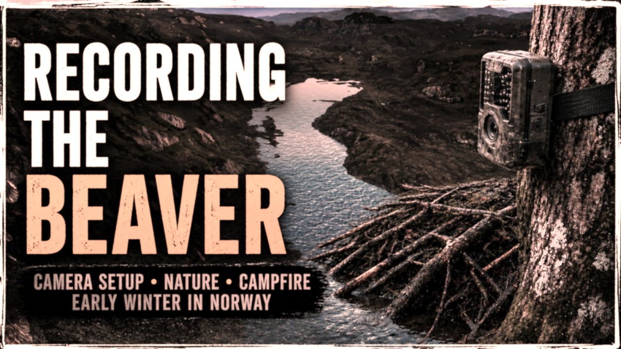 Tracking the beaver and making a fire