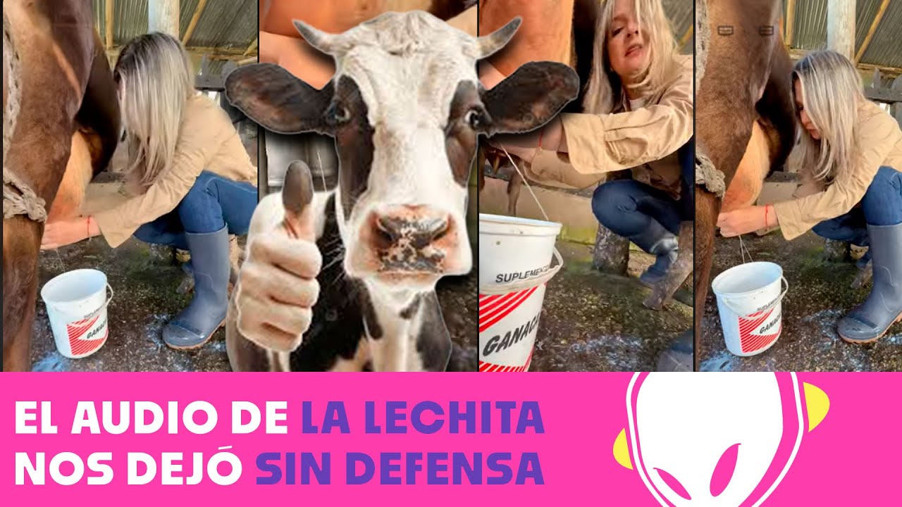 Llegó la 'Lechita' al Gallo, un comercial que promueve ser 'Hermanos de leche' | El Gallo
