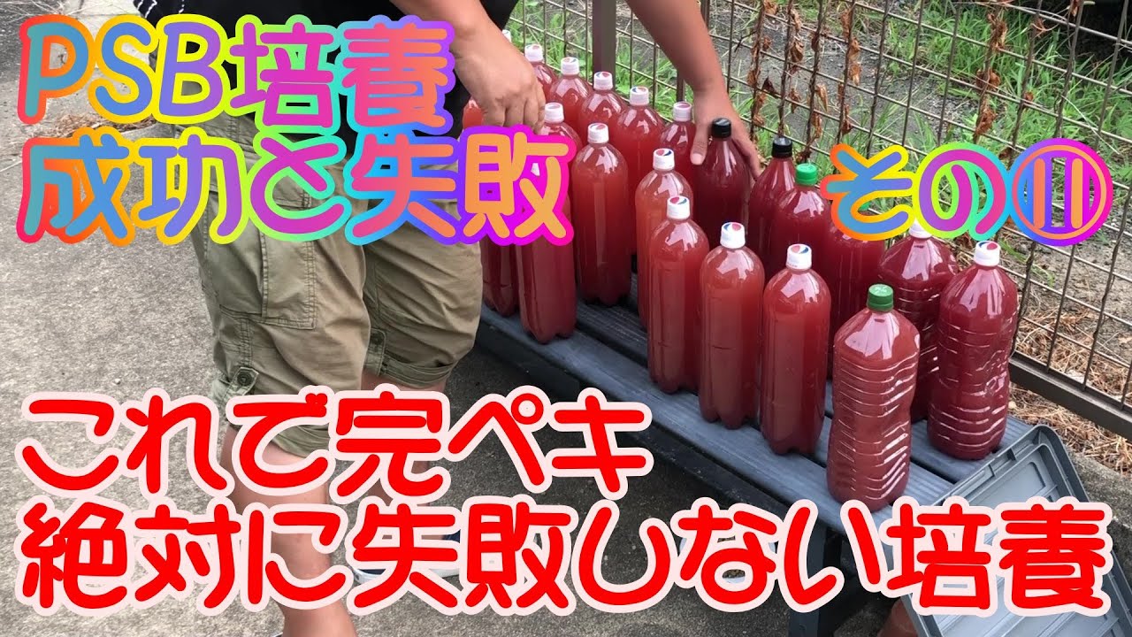 ＰＳＢの培養はこれで間違いないです！必ず培養出来ます！