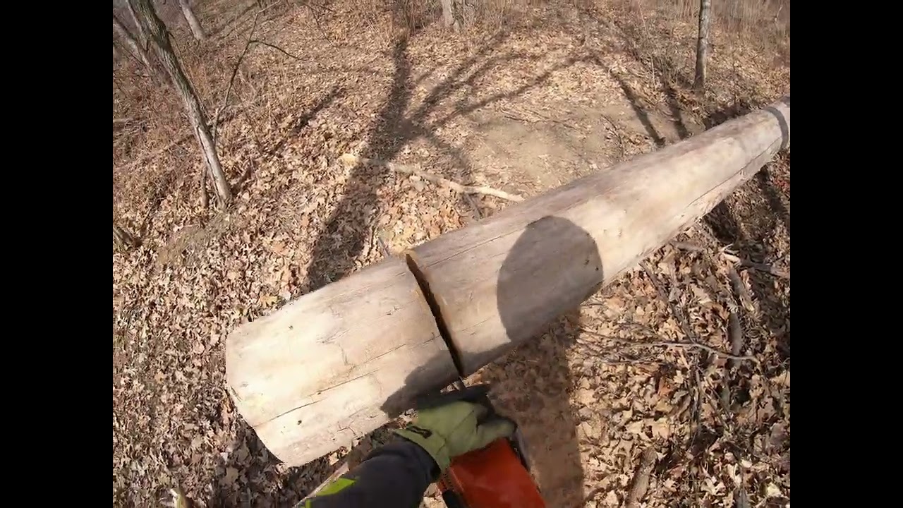 Cutting firewood
