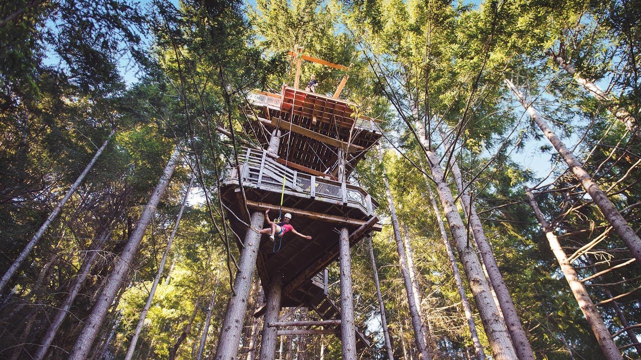 Ziptrek Eco Tours Queenstown