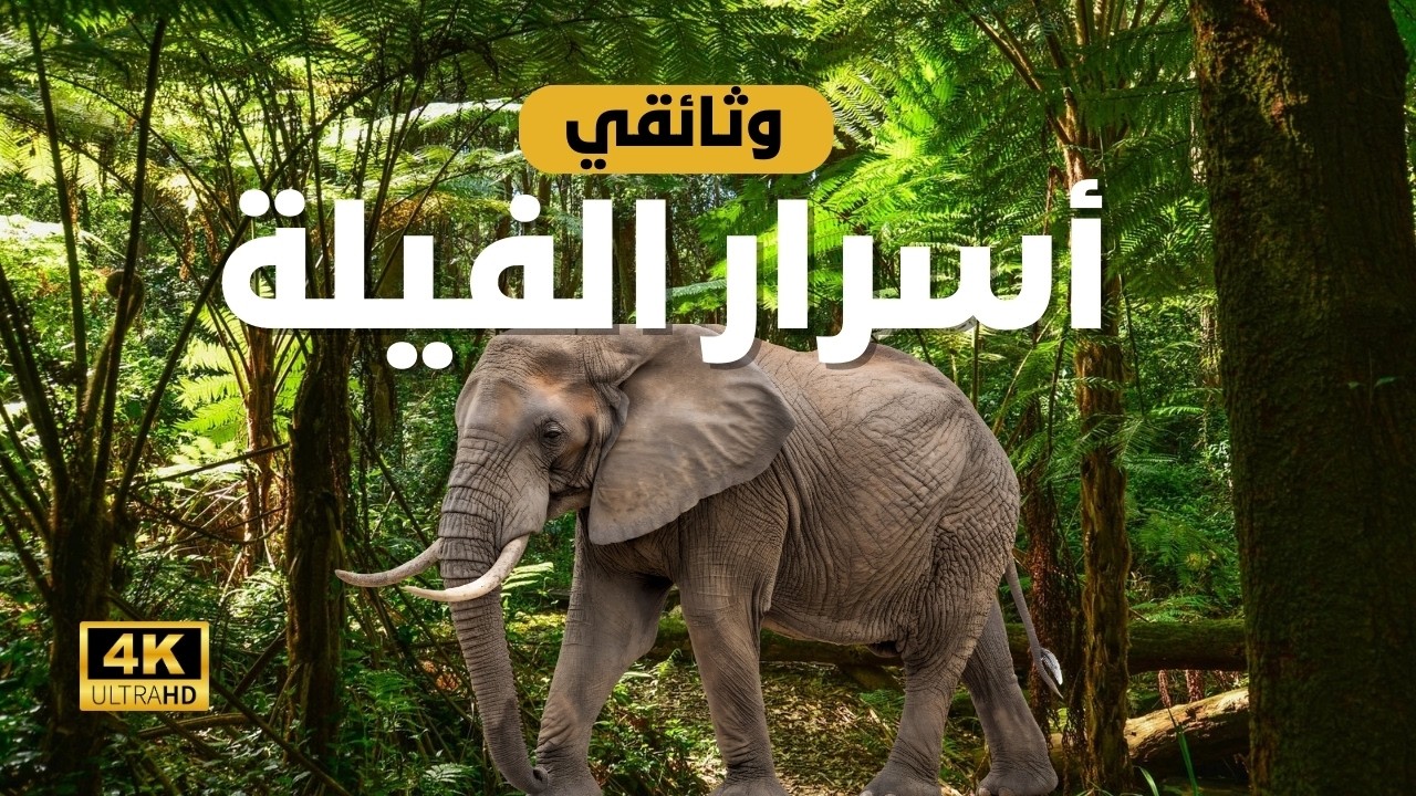 الفيل: حقائق مذهلة عن أضخم مخلوق على اليابسة | وثائقي