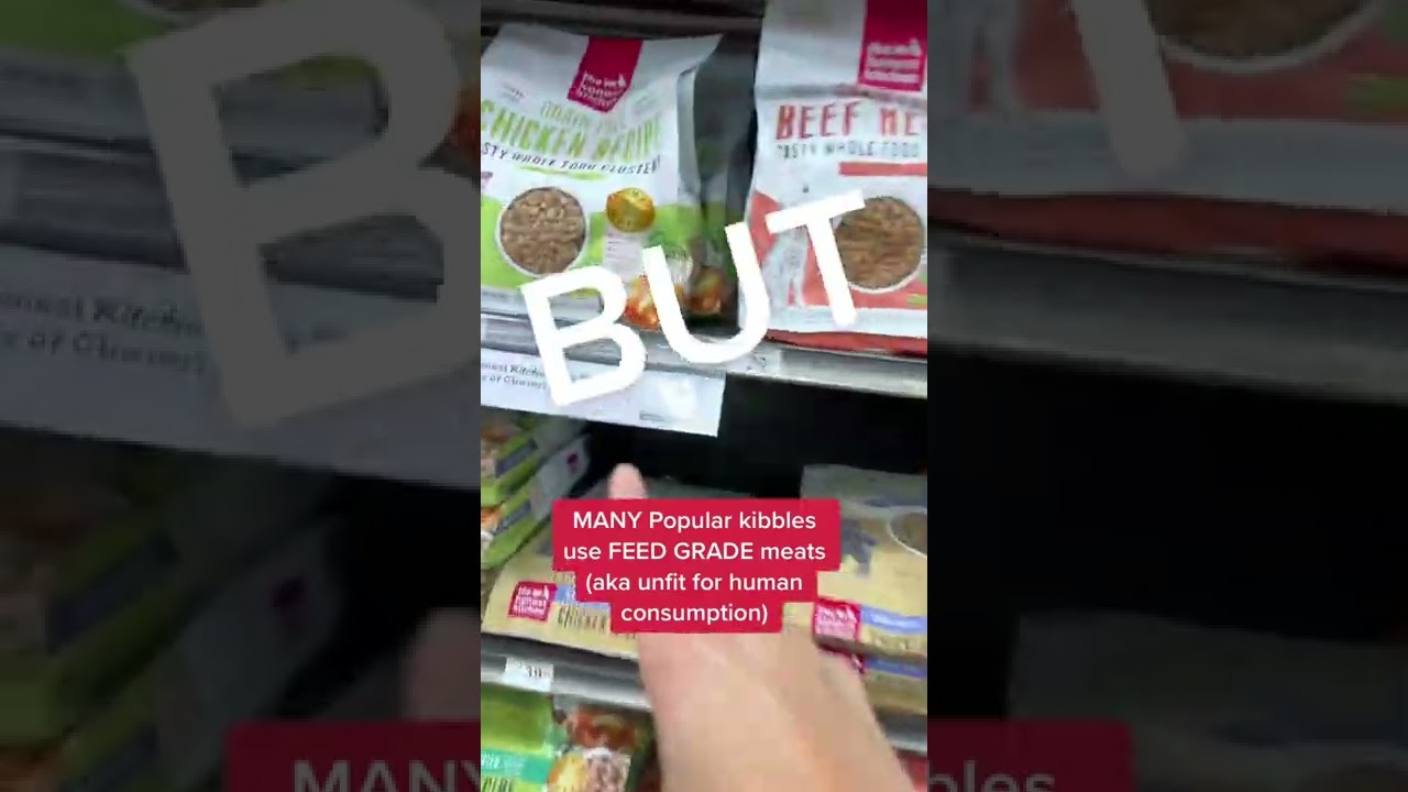 Is &ldquo;human grade&rdquo; important to you? 🧐 Comment the next dog food I should review below! #dogfoodrevi