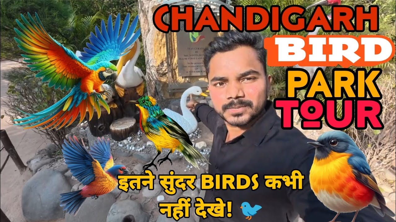 Chandigarh Bird Park Tour   A to Z information video full enjoy?