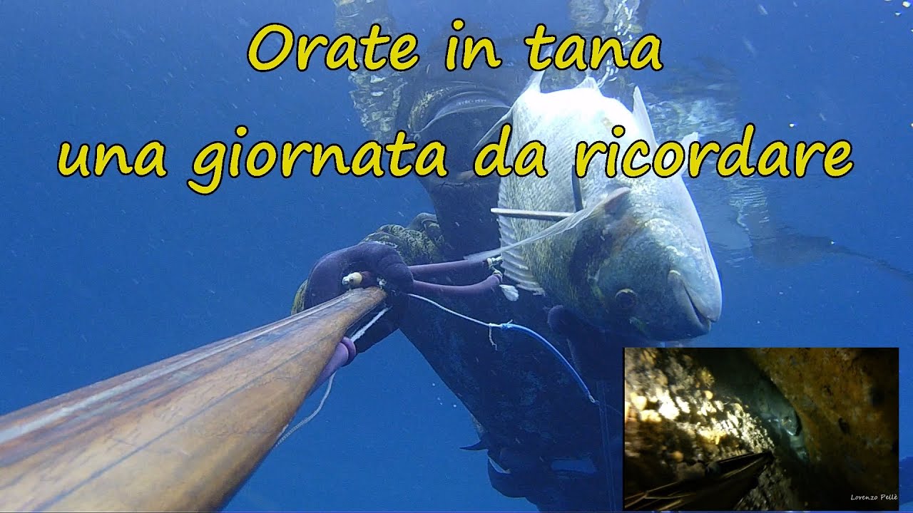 Pescasub Sardegna: ORATE IN TANA una giornata da ricordare
