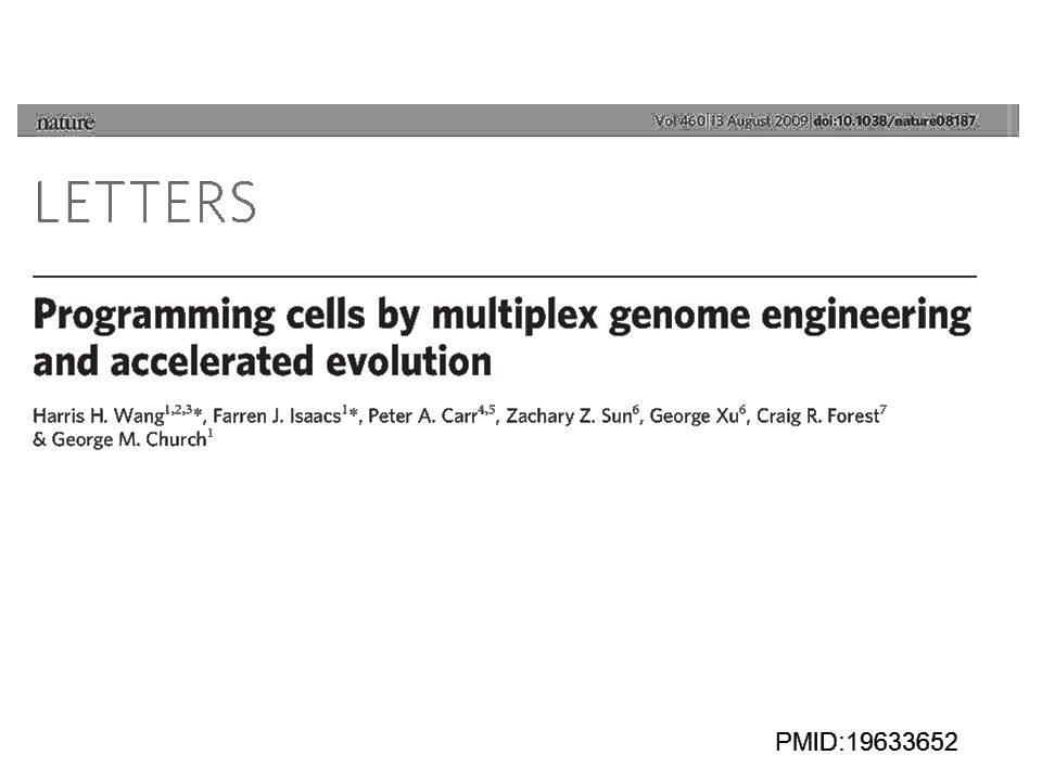 Optimization of Biosynthesis using MAGE