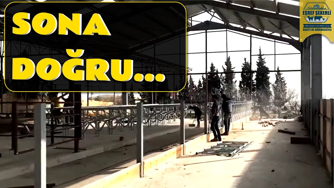 50 Başlık Örnek Çiftlikte Sona Doğru...