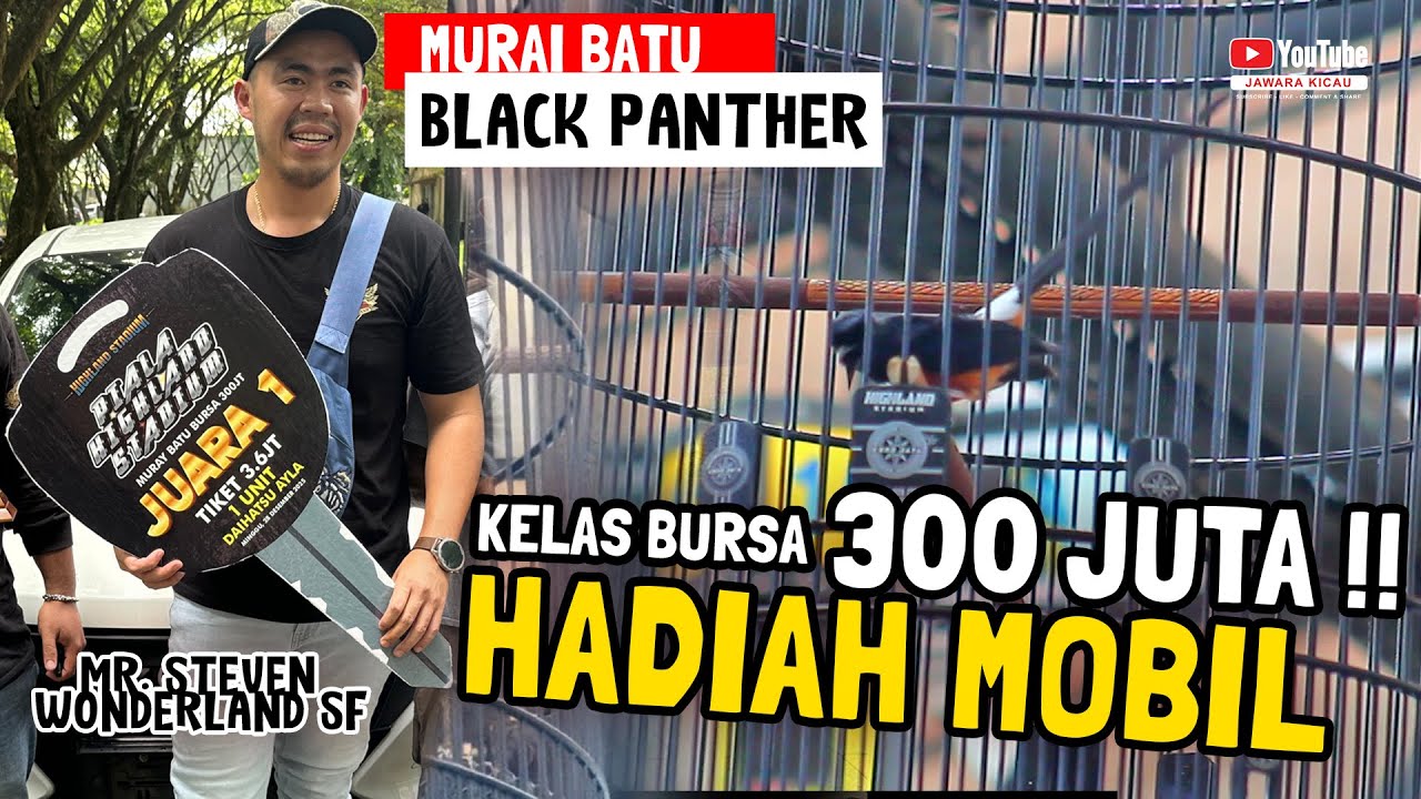 HADIAH MOBIL BURSA 300 JUTA🔥😱 MURAI BATU BLACK PANTHER JUARA TIKET UTAMA ‼️PIALA HIGHLAND STADIUM!!