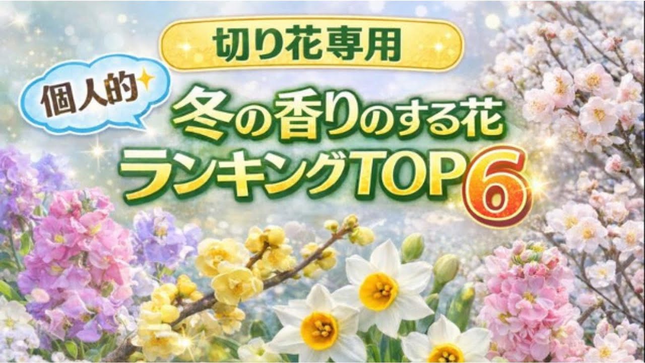 切り花専用 香りのいい花ランキングTOP6 冬の香りを楽しむ｜#いい香りの花#冬の花#切り花