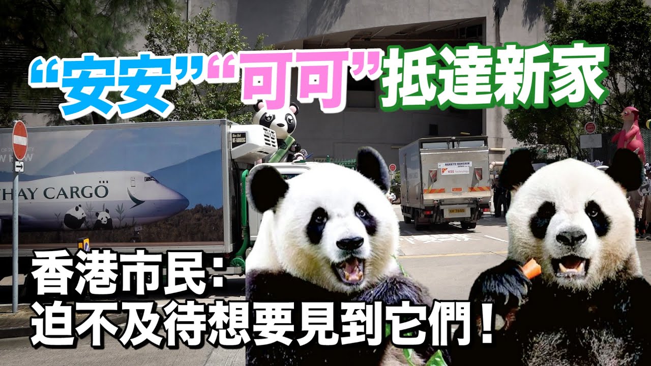 大熊貓“安安”“可可”抵達香港海洋公園　香港市民：迫不及待想要見到它們！