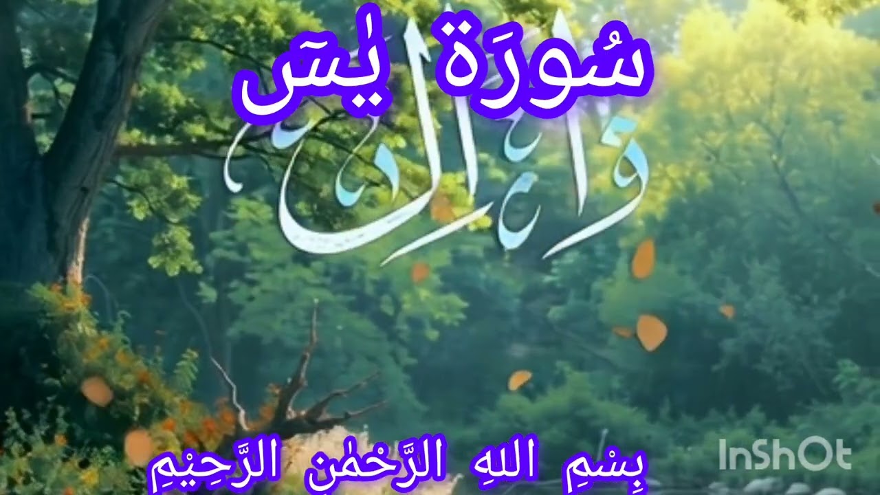 Surat Yaseen Full #quran #duet #duet  #viral #surat #bayan #shortvideo #shorts 