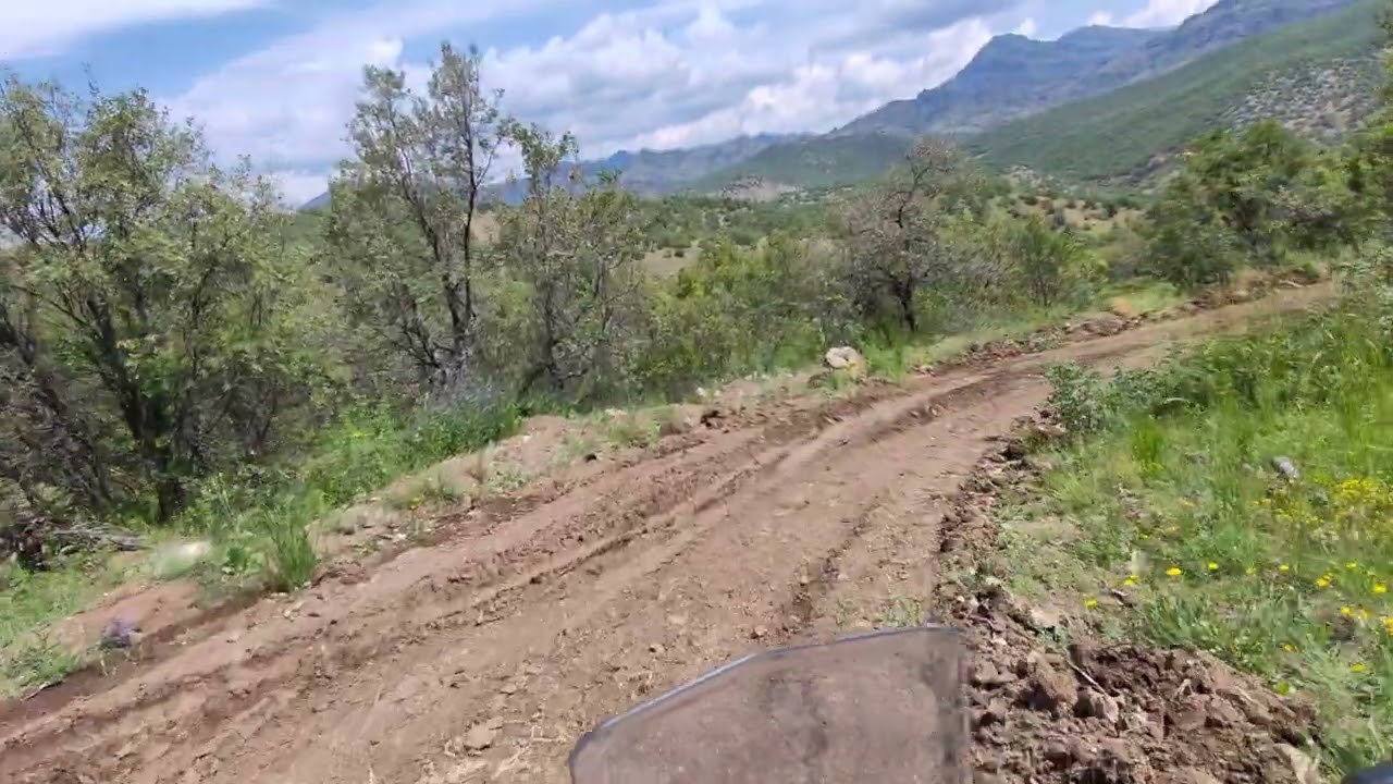 Tunceli,Dersim, Mazgirt (Bêróç Ôrûç arası..2024 Mayıs..