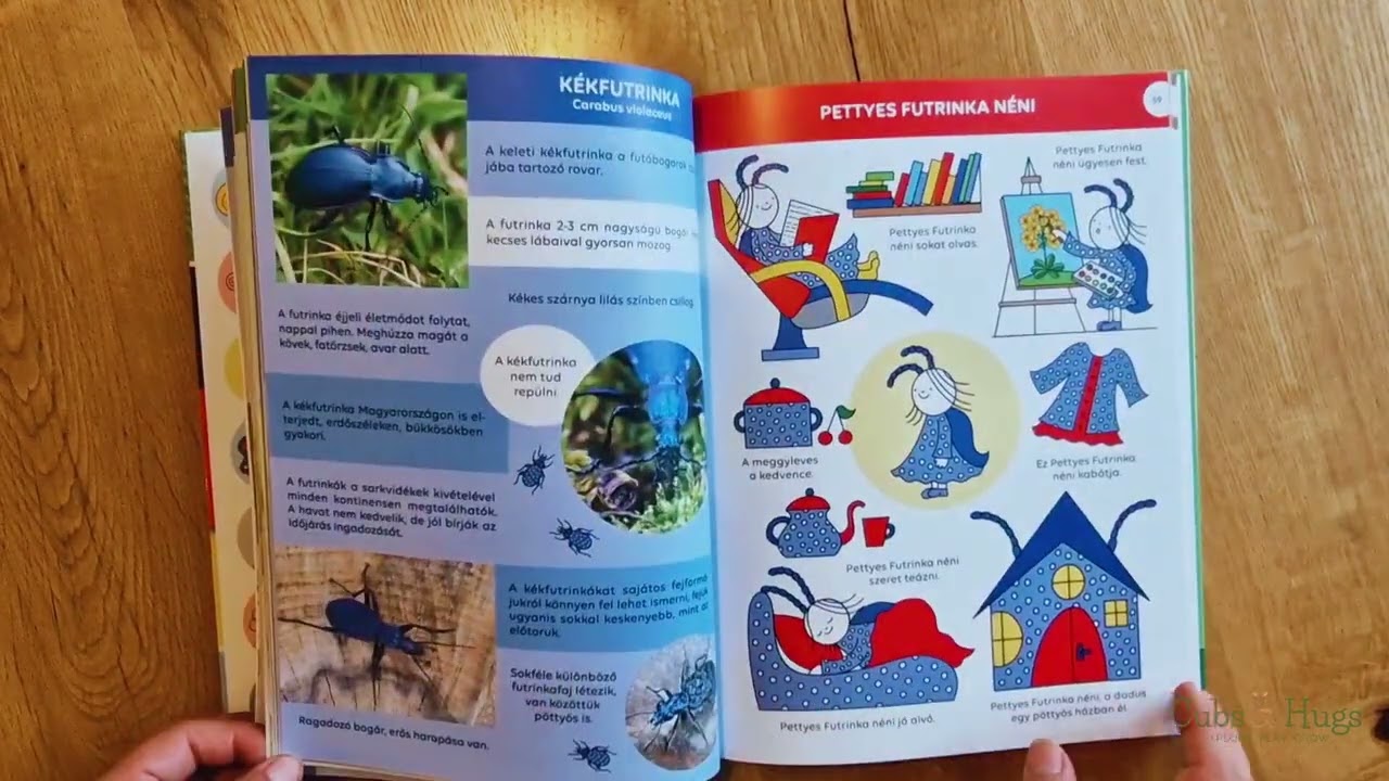 Bogy&oacute; &eacute;s Bab&oacute;ca - Ki kicsoda? - A sorozat szereplői a term&eacute;szetben