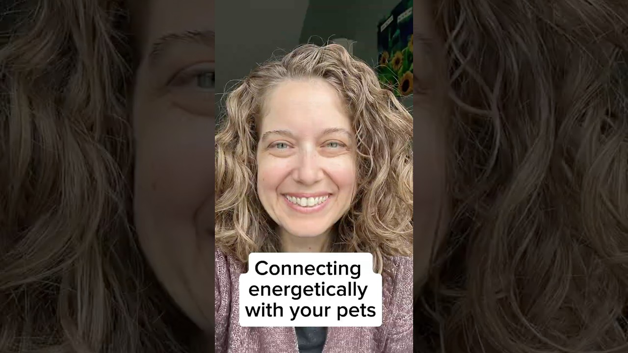 How to energetically connect with your pets