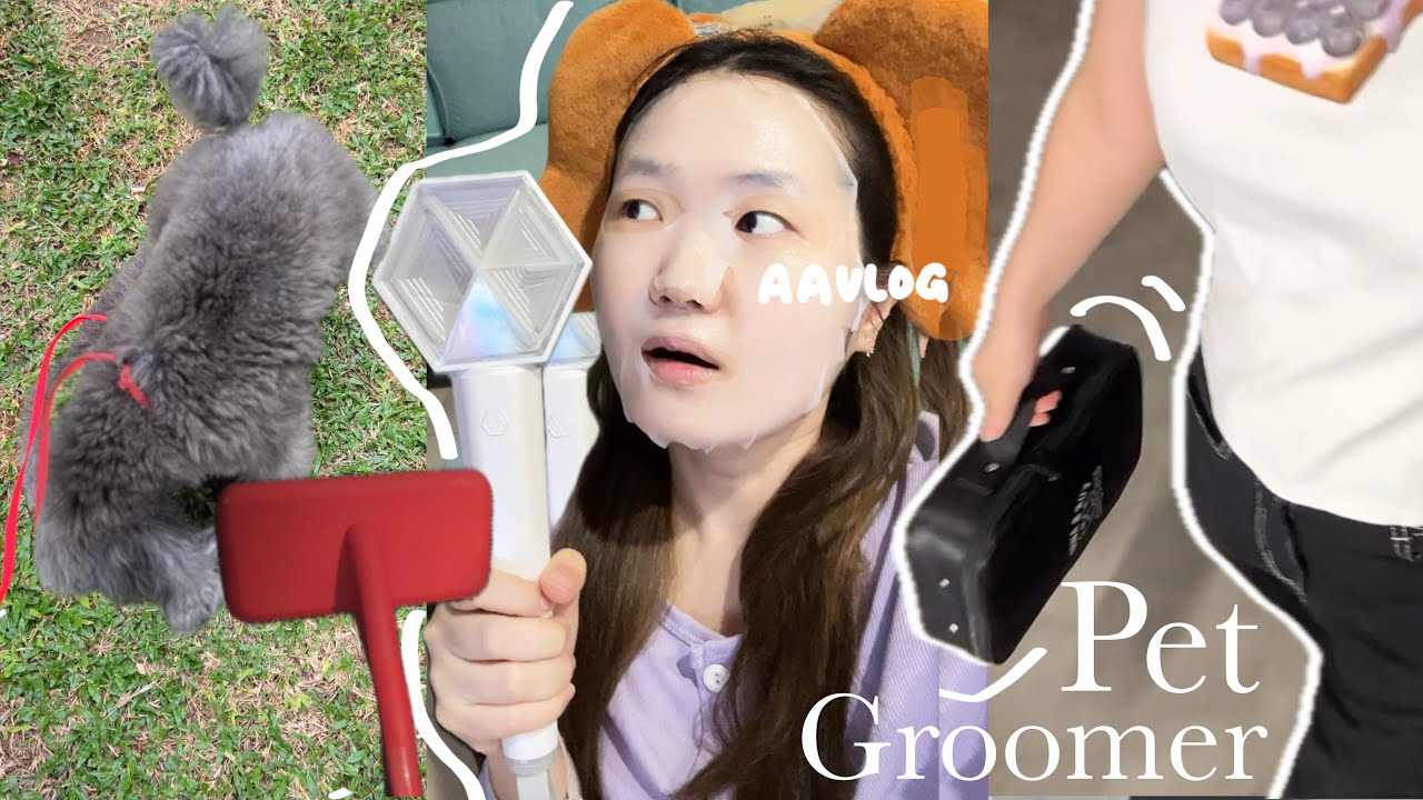 因为睡不着！去学剪狗毛✂️ 24H上课记录｜😍终于买到爱丽棒！！｜第7天的真实感想…我后悔了吗？｜AAvlog